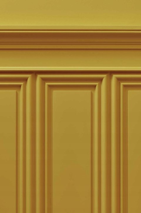 W124 panel 3D kasetonowy BURLINGTON do boazeria angielska Orac Decor