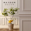 Mardom Decor MD028P listwa przypodłogowa biała RAL9003