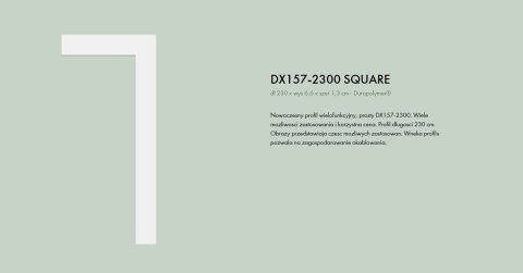 Obramowanie drzwi DX157-2300 Orac Decor wysokość 6.6cm profil dekoracyjny